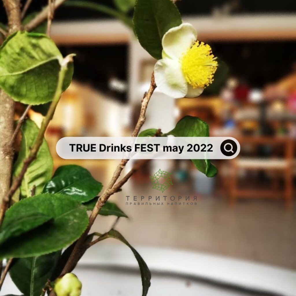 True drinks fest 2022
